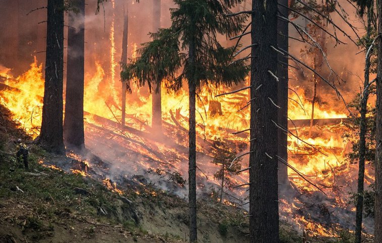 Imaginea articolului Mai multe localităţi din Insula Evia au fost evacuate în urma incendiilor de vegetaţie