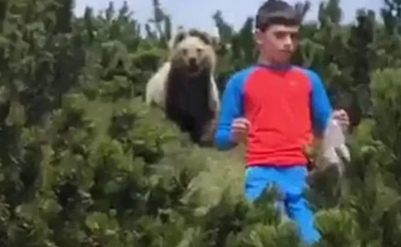 Imaginea articolului VIDEO. Un copil de 12 ani a fost urmărit de un urs brun, la câţiva metri distanţă, în munţi. Reacţia neaşteptată care l-a salvat de la atac