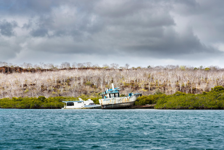 Imaginea articolului Sute de vase de pescuit chinezeşti acţionează ilegal în largul Insulelor Galapagos. Ecosistemul este pus în pericol