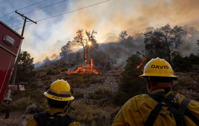 Imaginea articolului Noi incendii de vegetaţie au cuprins oraşul Los Angeles