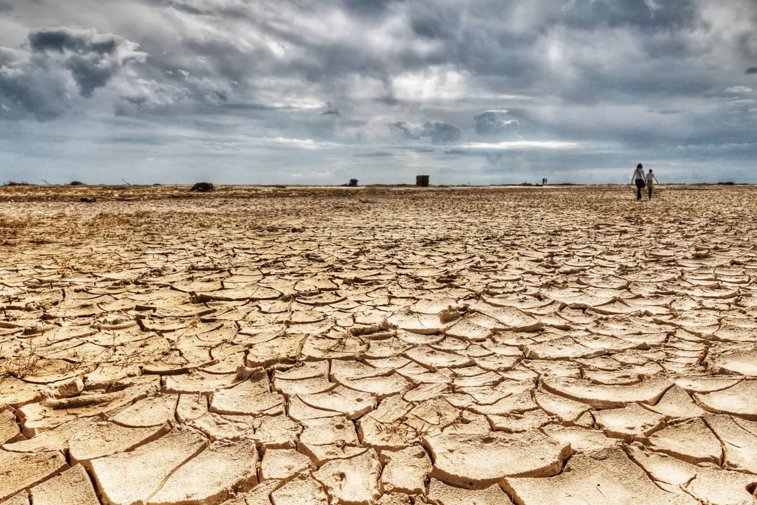 Imaginea articolului Guvernul olandez declară penurie de apă din cauza secetei
