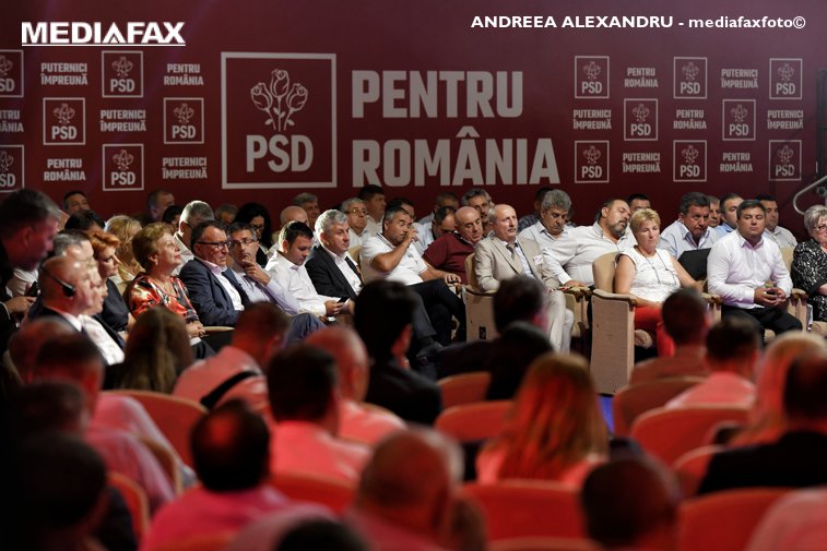 Imaginea articolului COMENTARIU Crenguţa Nicolae: Cum se face evaluarea la PSD: până să tăiem porcul şi după ce tăiem porcul