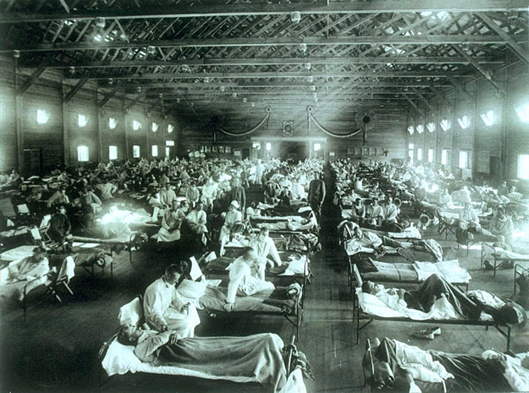 Imaginea articolului Un expert explică de ce majoritatea viruşilor mortali de gripă din ultimele secole au apărut în China