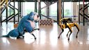 Imaginea articolului Câinele robot, Spot al Boston Dynamics, costumat în Sparkles, dansează alături de un alt Spot fără costum