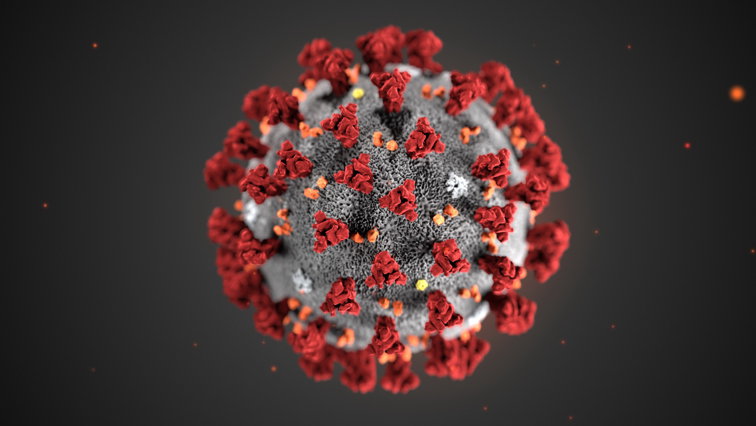 Imaginea articolului Portugalia a confirmat 21 de noi cazuri de coronavirus