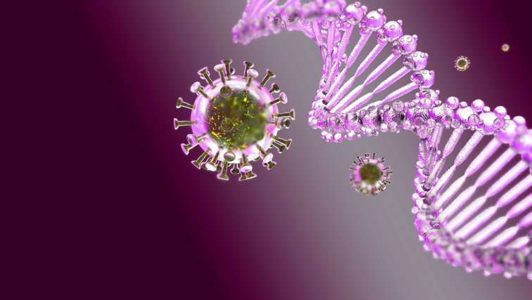 Imaginea articolului Coronavirusul reuşeşte să păcălească organismul. Cum acţionează proteina Spike