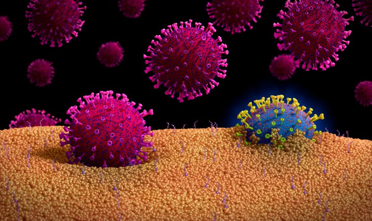 Imaginea articolului COVID-19. Varianta Lambda a virusului SARS-CoV-2, cea mai nouă tulpină introdusă de OMS pe „lista de interes”