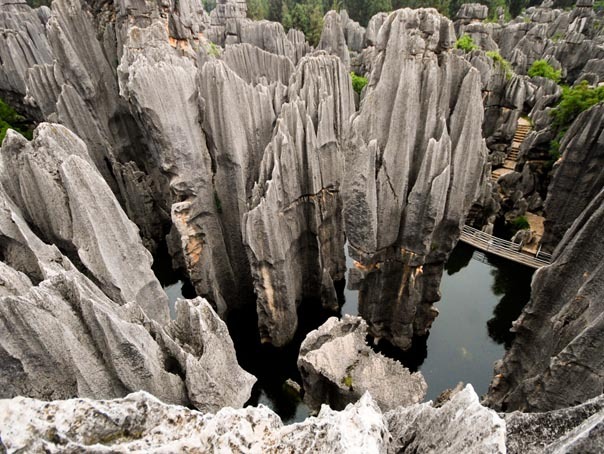 Imaginea articolului Pădurea de piatră din China. Cum arată "prima minune a lumii" - FOTO