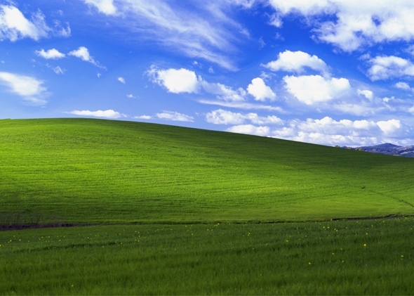 Imaginea articolului Cel mai cunoscut peisaj din lume. Care este povestea din spatele fundalului Windows XP - VIDEO