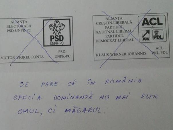 Imaginea articolului Ce mesaje au scris ieşenii pe buletinele de vot: ”În România specia dominantă nu mai e omul, ci măgarul” - FOTO