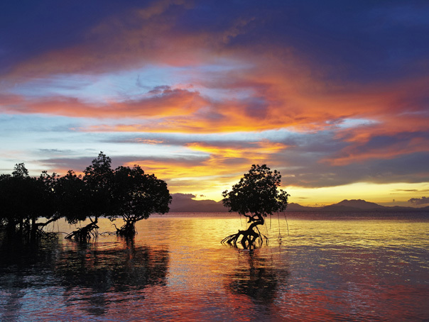Imaginea articolului Palawan, desemnată ”cea mai frumoasă insulă din lume” - FOTO
