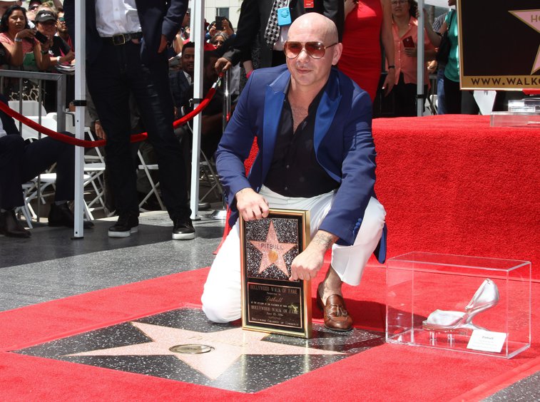 Imaginea articolului Rapperul Pitbull a primit o stea pe Walk of Fame din Hollywood