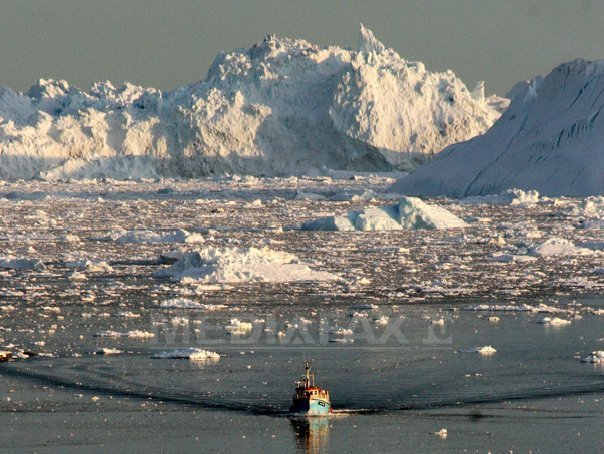 Imaginea articolului O uriaşă crăpătură din stratul de gheaţă al Antarcticii provoacă panică