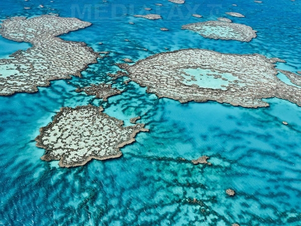 Imaginea articolului Un recif imens a fost descoperit sub Marea Barieră de Corali