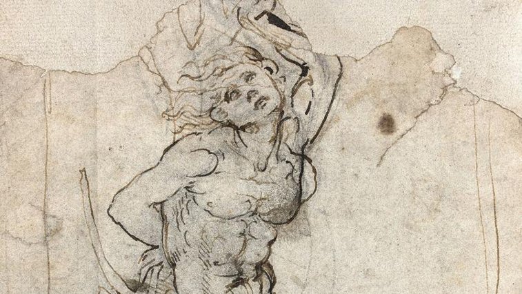 Imaginea articolului Desenul lui Leonardo da Vinci, descoperit recent, nu va putea fi vândut în afara Franţei 