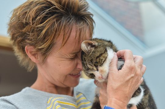 Imaginea articolului Ziua internaţională a pisicii, 8 august: O pisică s-a întors acasă după ce a lipsit 13 ani