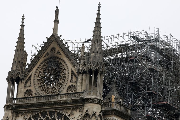 Imaginea articolului Veşti extraordinare de la Catedrala Notre-Dame. Cele 200.000 de albine care trăiau pe acoperiş au scăpat cu viaţă în urma incendiului | FOTO