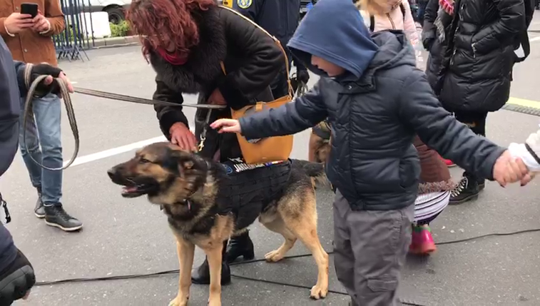 Imaginea articolului Doi câini ai Jandarmeriei, aniversaţi de Ziua Naţională. La ce sunt folosiţi Samir şi Zuzi. VIDEO