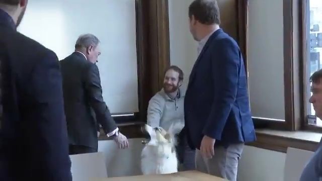 Imaginea articolului VIDEO: Modul bizar în care miliardarul Mike Bloomberg, intrat în cursa pentru Casa Albă, salută un câine
