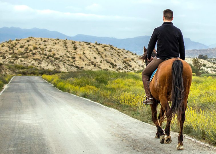 Imaginea articolului Inedit: călăreţ amendat pentru că vorbea la telefon fără hands-free / Ce viteză avea calul