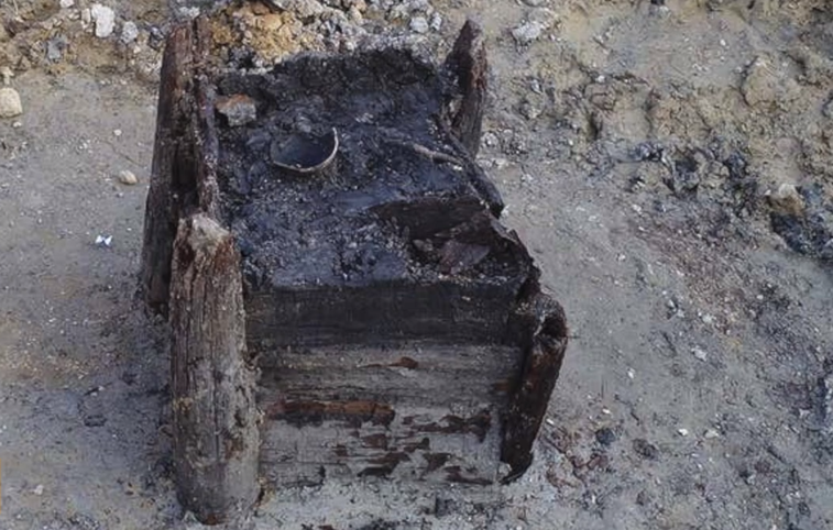 Imaginea articolului Arheologii au descoperit cea mai veche structură de lemn din lume. Cu câţi ani în urmă a fost construită
