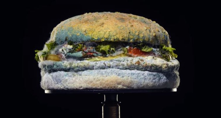 Imaginea articolului Cum încearcă Burger King să atragă mai mulţi consumatori: Noul Whopper, o mizerie verde-albăstruie - VIDEO