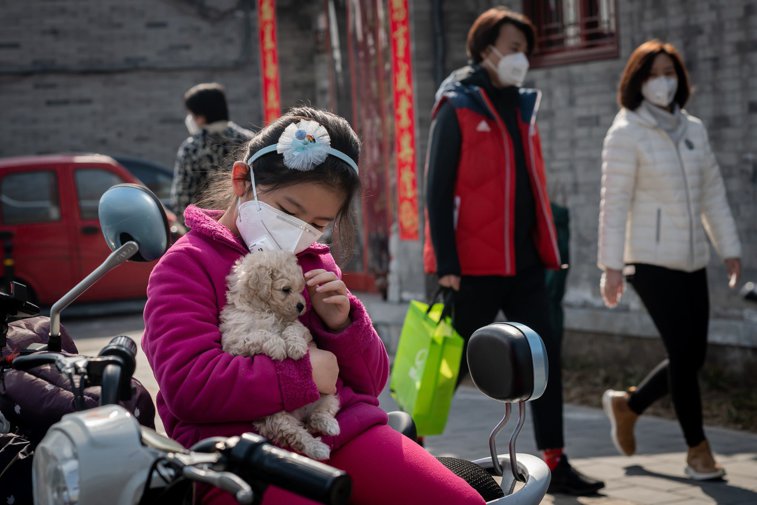 Imaginea articolului Dovezi alarmante. O chinezoaică din Wuhan şi-a îmbolnăvit cinci rude, deşi nu avea simptome de coronavirus