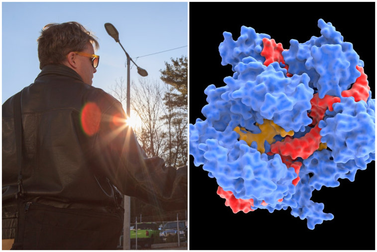 Imaginea articolului Premieră medicală: Oamenii de ştiinţă din SUA au testat tehnologia CRISPR asupra unui pacient orb 