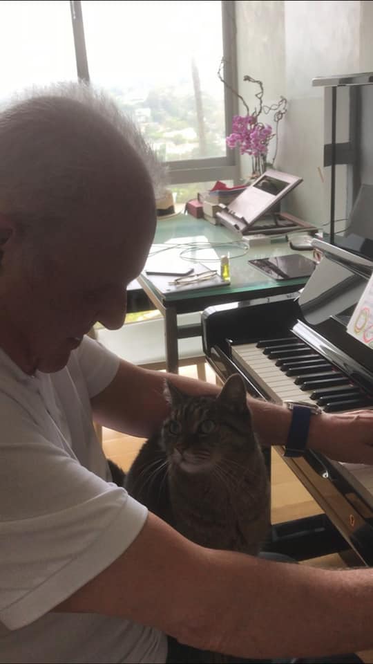 Imaginea articolului VIDEO Celebrul Anthony Hopkins cântă la pian pentru pisica lui