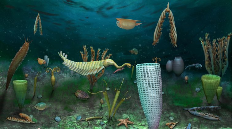 Imaginea articolului Unul dintre cele mai importante depozite de fosile din lume a fost descoperit în Ţara Galilor