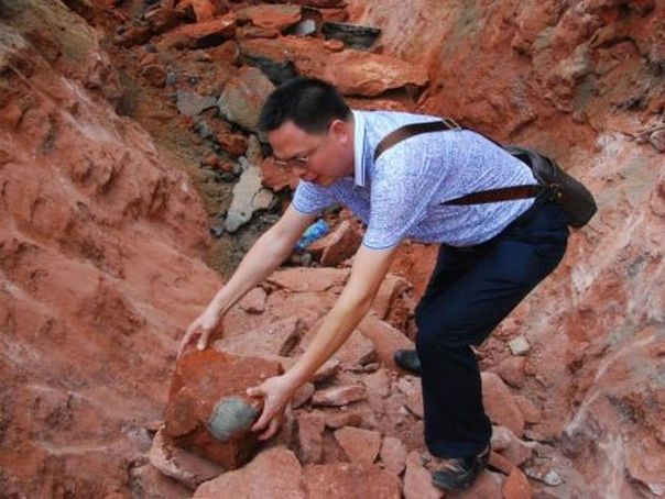 Imaginea articolului Peste 40 de ouă de dinozaur, descoperite pe un şantier din China - FOTO & VIDEO