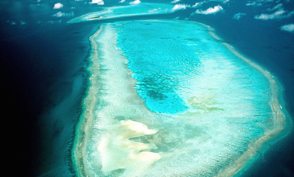 Imaginea articolului Marea barieră de corali dispare. Nu mai există nicio şansă de a se regenera