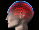 Imaginea articolului Afecţiunile neurologice afectează mai mulţi oameni decât se credea anterior