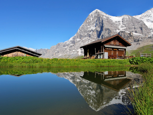 militia educate bulge 12 lucruri inedite despre Elveţia