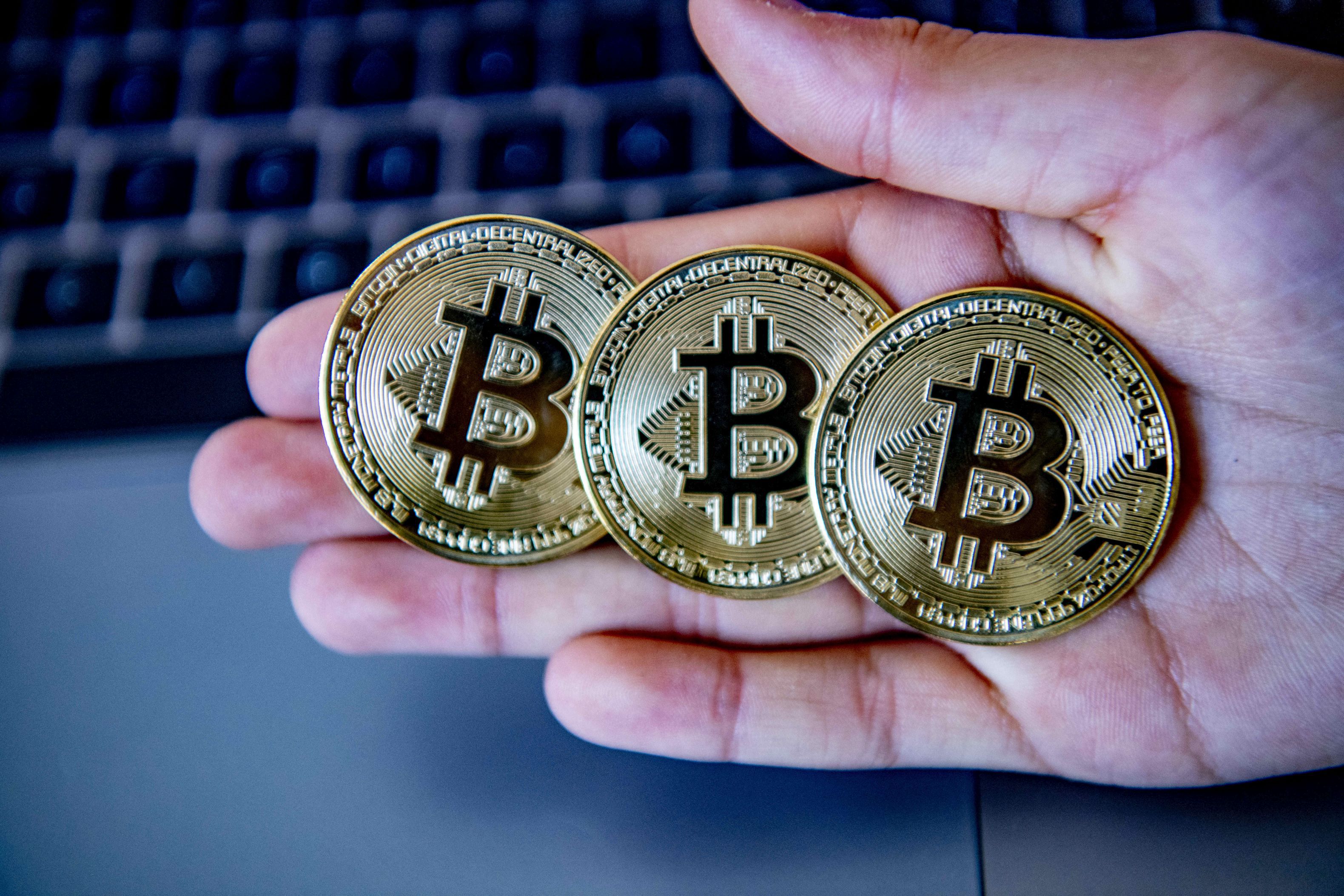 investind în bitcoin, dar nu în alte criptomonede tranzacționare cripto cu depozit redus
