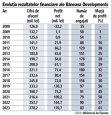 Grafic: Evoluţia rezultatelor financiare ale Băneasa Developments