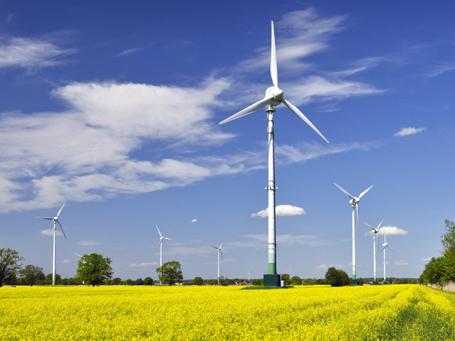 Paradoxul regenerabilelor: eolienele îşi luau ieri energia pentru consumul propriu chiar de la cărbunii poluanţi. Preţurile cresc