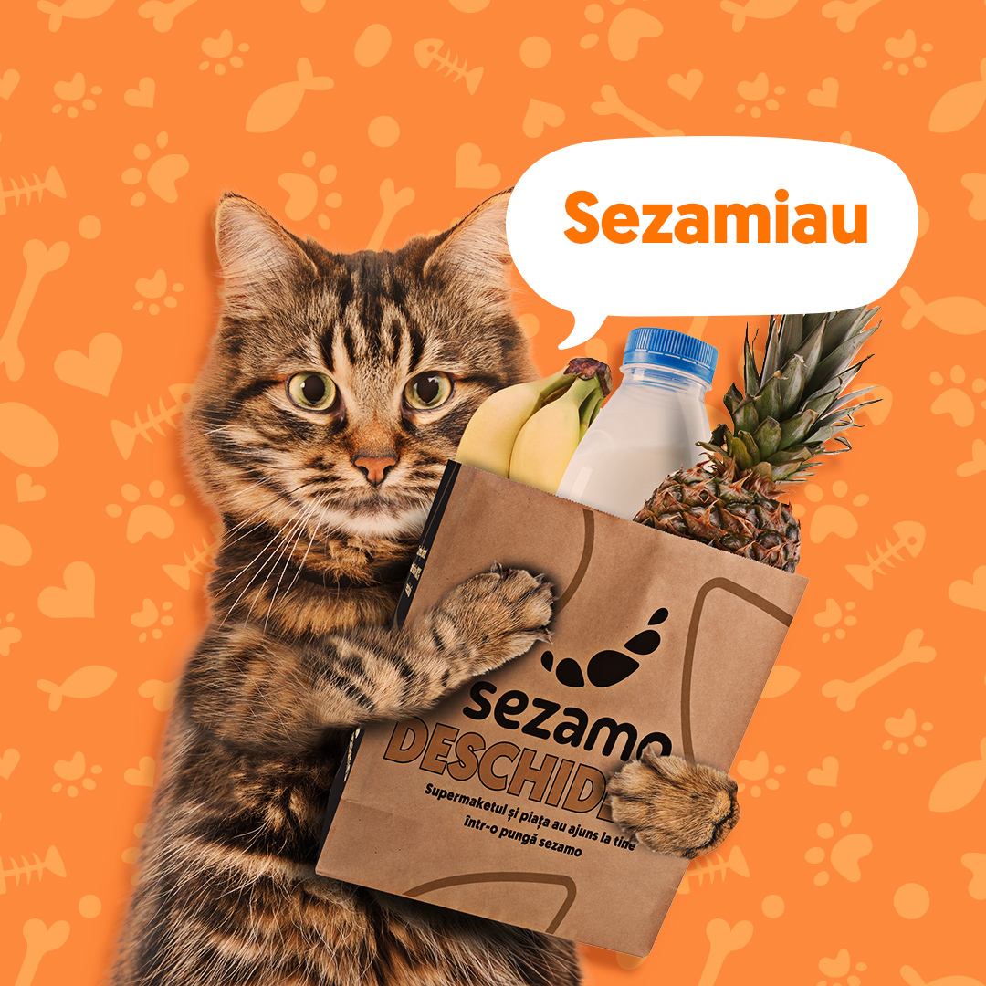 Supermarketul online Sezamo a extins categoria „pet shop” cu mai multe produse pentru pisici: Am crescut sortimentaţia pentru pisici cu 30%