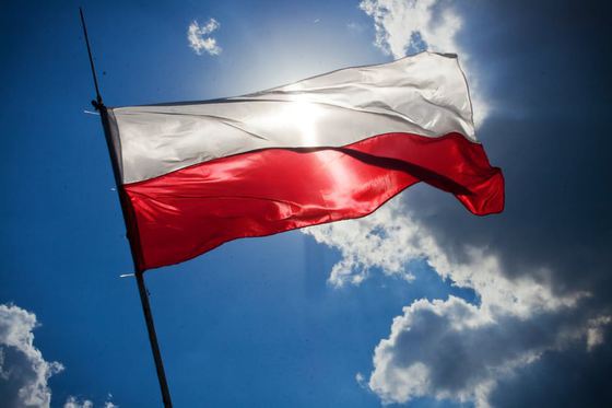Campania electorală din Polonia, sub umbra ciupercilor