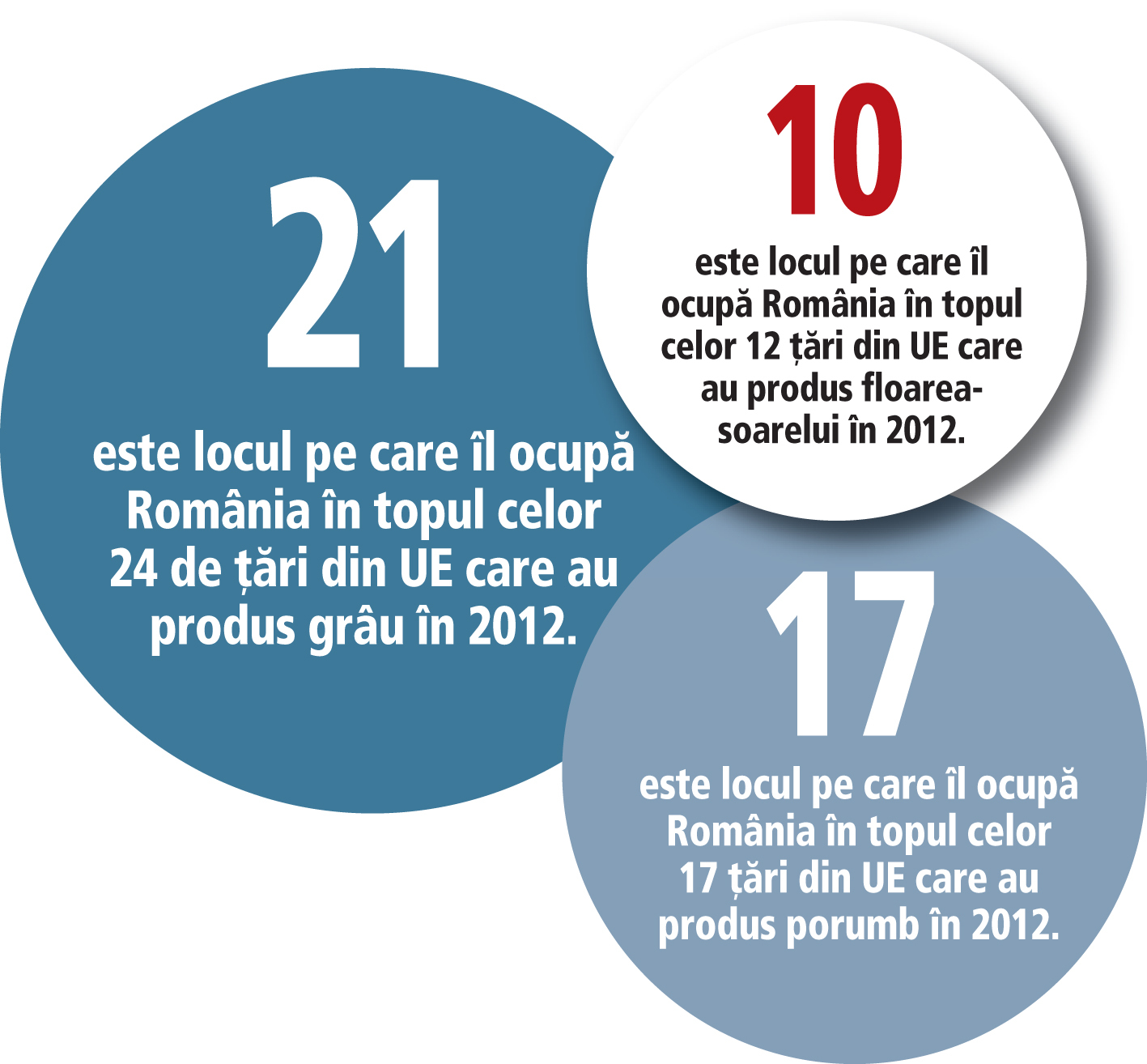 România, codaşa Europei la productivitate în agricultură: la grâu în aceeaşi ligă cu Estonia, la porumb pe ultimul loc