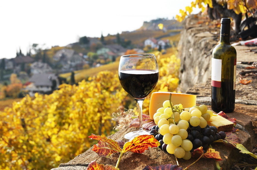 Topul primelor 20 de ţări în care exportă România vin