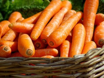 Producţia de morcovi a României a scăzut cu 11% în 2016, ajungând la 108.500 de tone