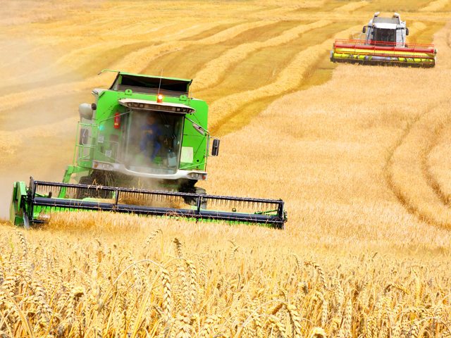 Prognoză agricolă. Producţia de cereale creşte cu 1,5% în 2017. Emil Dumitru, Pro Agro: „Este efectul faptului că s-au aplicat tehnologii”
