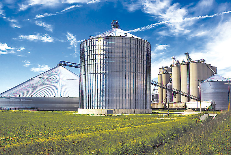 Traderul american de cereale Cargill Agricultură a primit o injecţie de capital de aproape 7 mil. euro pentru creşterea volumelor tranzacţionate