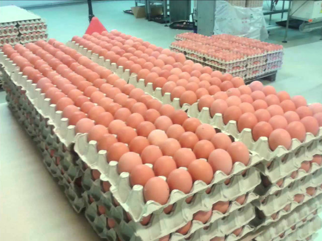 Un producător din Dâmboviţa vinde 100.000 de ouă pe zi în Auchan, Carrefour, Cora, Mega Image, Profi şi Penny