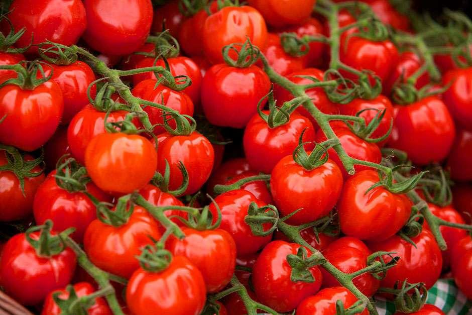 Importurile de roşii au crescut cu 18% în ultimul an, în ciuda subvenţiilor de 3.000 de euro pentru cultivarea roşiilor în sere şi solarii