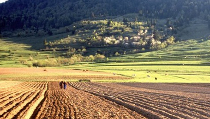 Ministerul Agriculturii a avizat tranzacţii cu terenuri agricole de aproape 4 milioane de euro în primele opt luni din 2018. Cel mai scump teren agricol tranzacţionat în 2018 a fost în Arad, unde s-a plătit 16.800 de euro pe un hectar