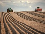 Urmează ZF Agropower, luni, 25 ianuarie 2021. Comisia Europeană: România, în top 3 producători de cereale din UE, ar putea pierde poziţia de lider la porumb şi floarea-soarelui din cauza secetei. Cum va arăta 2021?