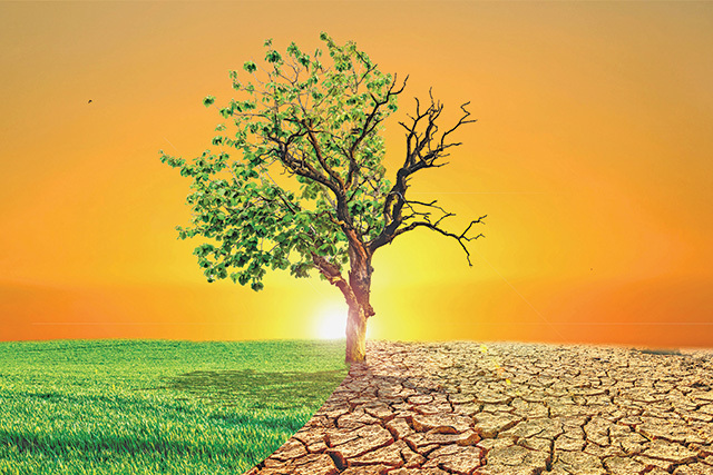 Din efectele schimbărilor climatice: construcţiile, turismul, agricultura îşi schimbă sezonalitatea