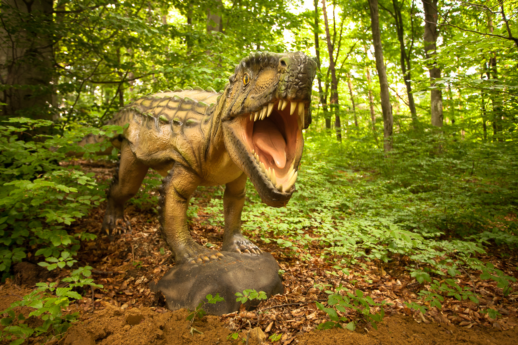 Dino Parc din Râşnov, primul parc de dinozauri din ţară, afaceri mai mari cu 7% la nouă luni şi 350.000 de vizitatori